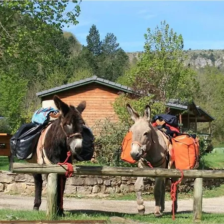 Spacieuse - 7 Pers. - Api-1-52-2440